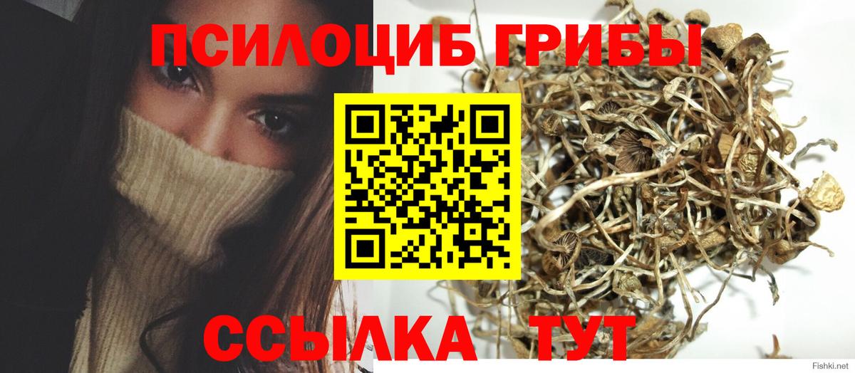 Галлюциногенные грибы прущие грибы Коряжма